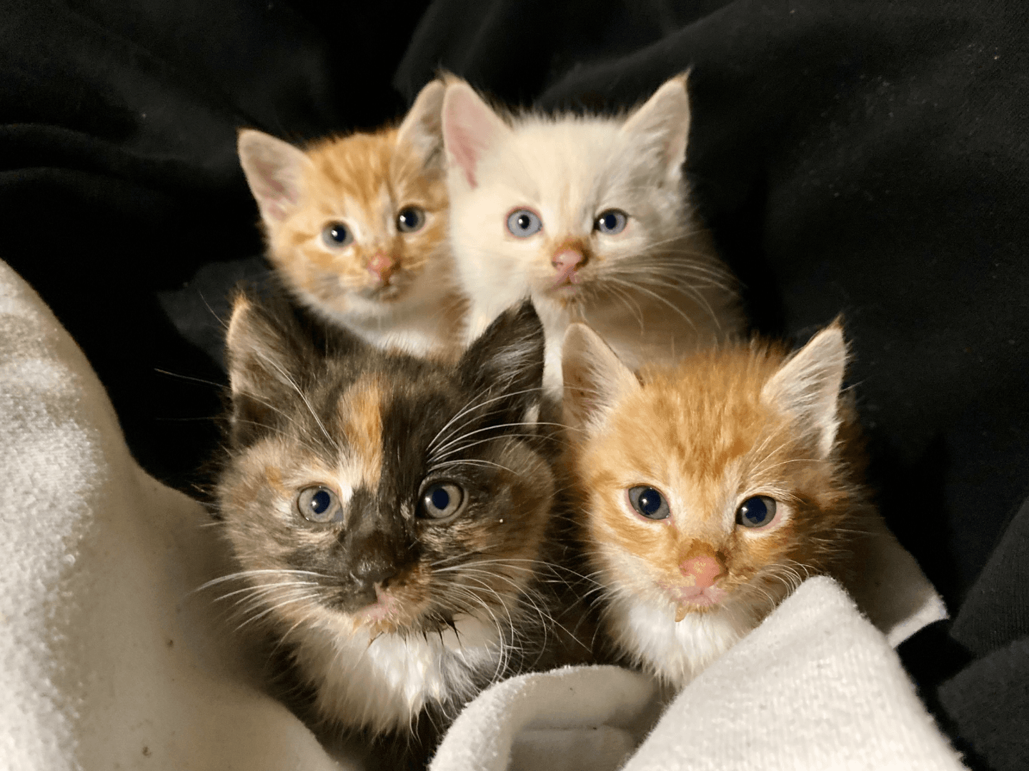 carousel-image-mobile-0