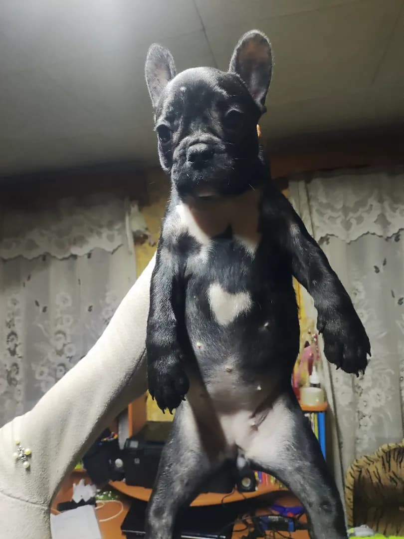 carousel-image-mobile-0