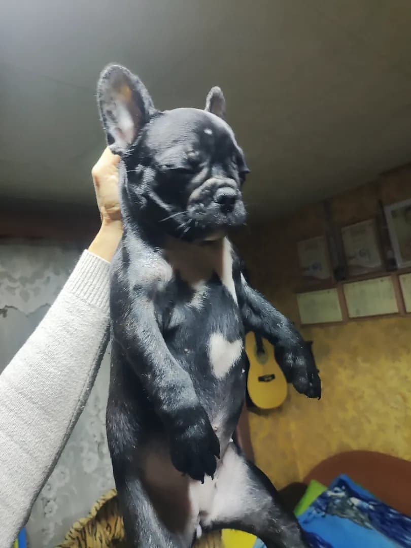 carousel-image-mobile-1