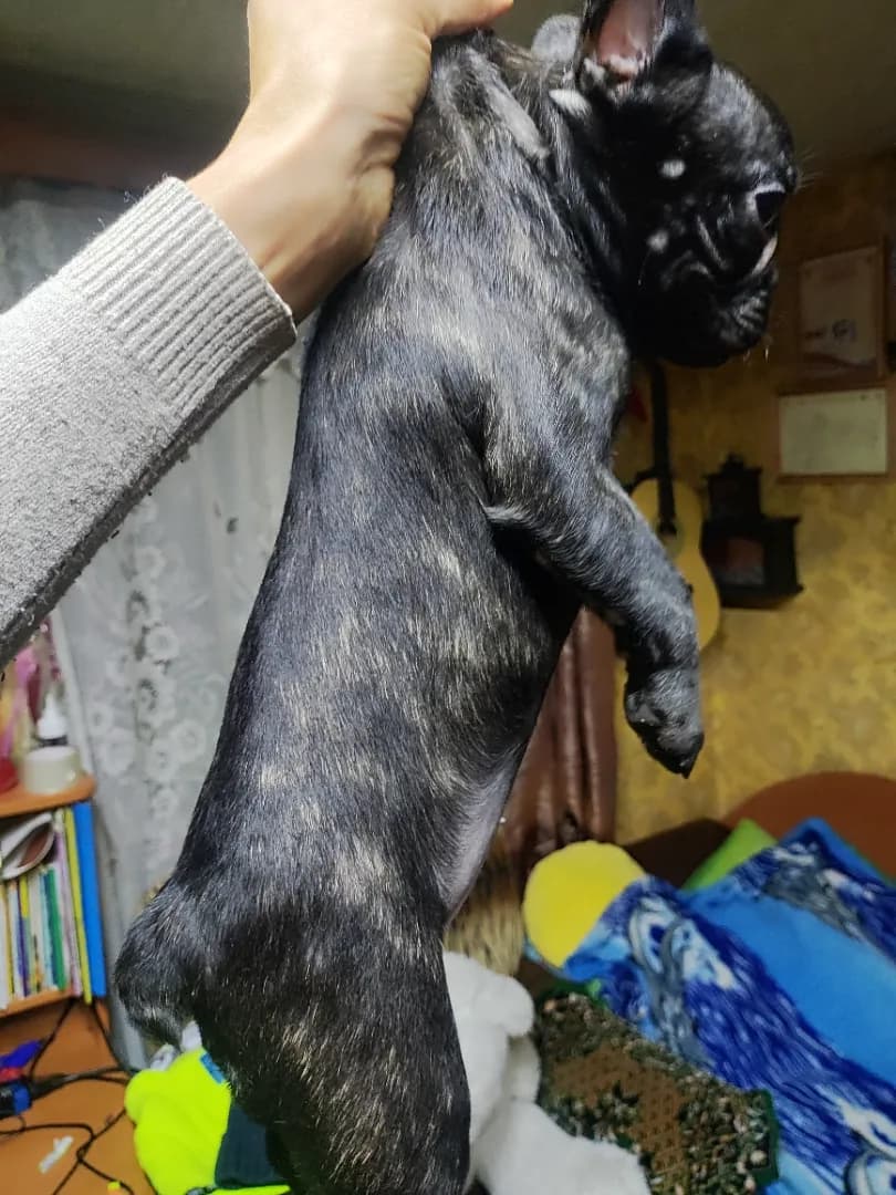 carousel-image-mobile-2