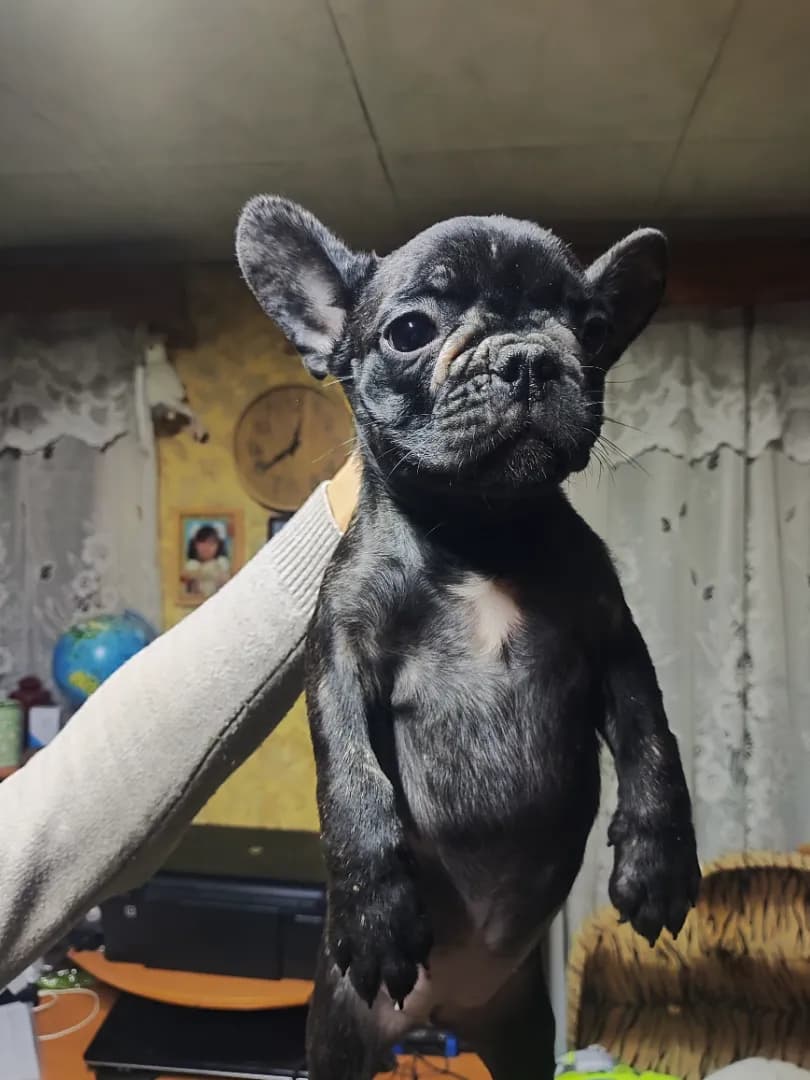 carousel-image-mobile-3