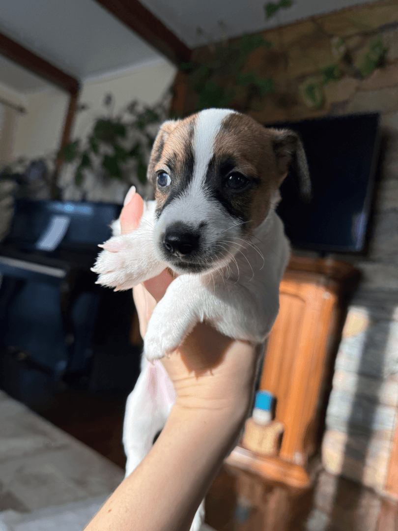 carousel-image-mobile-0