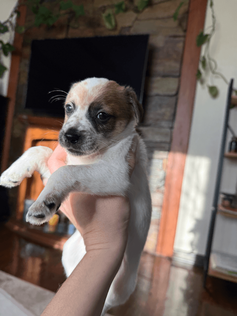 carousel-image-mobile-2