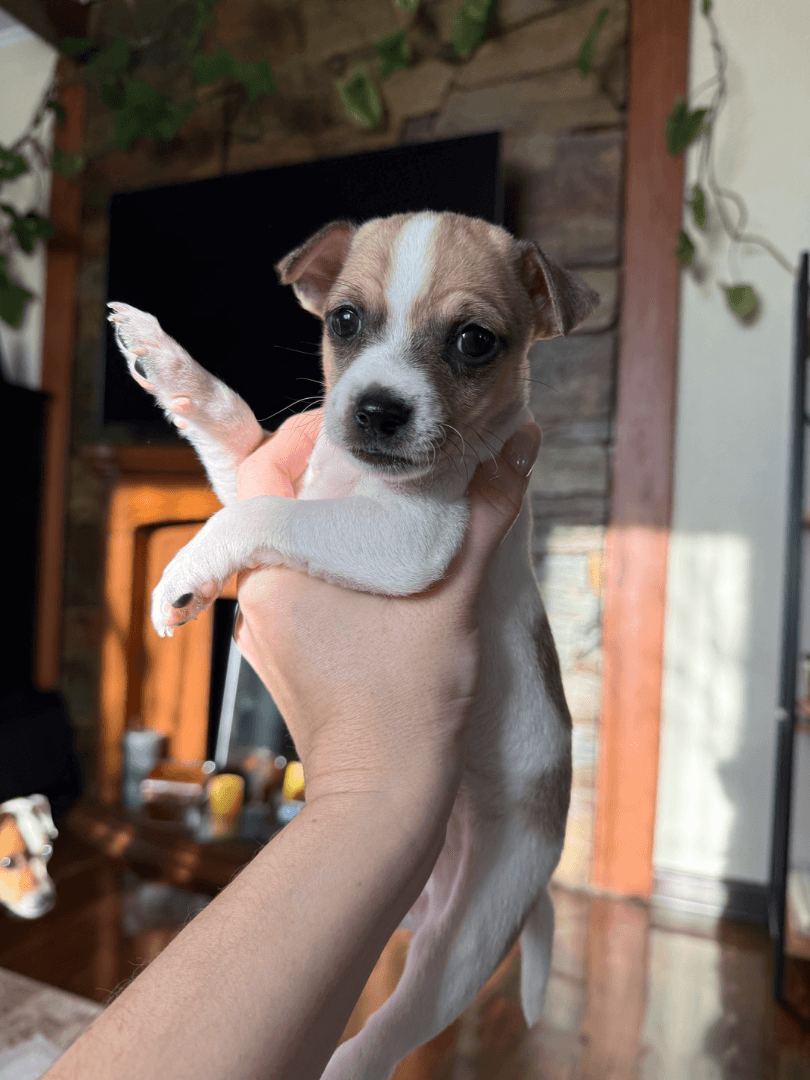 carousel-image-mobile-3