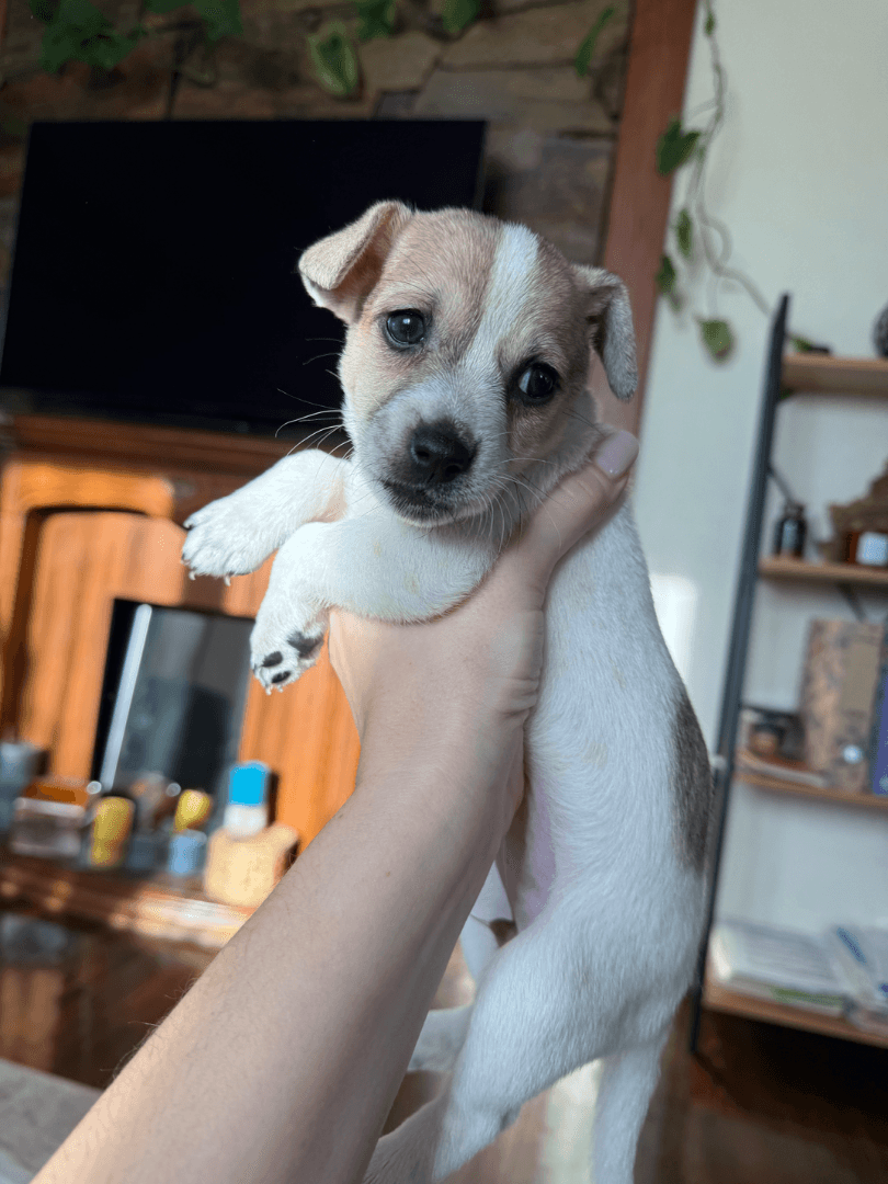 carousel-image-mobile-4