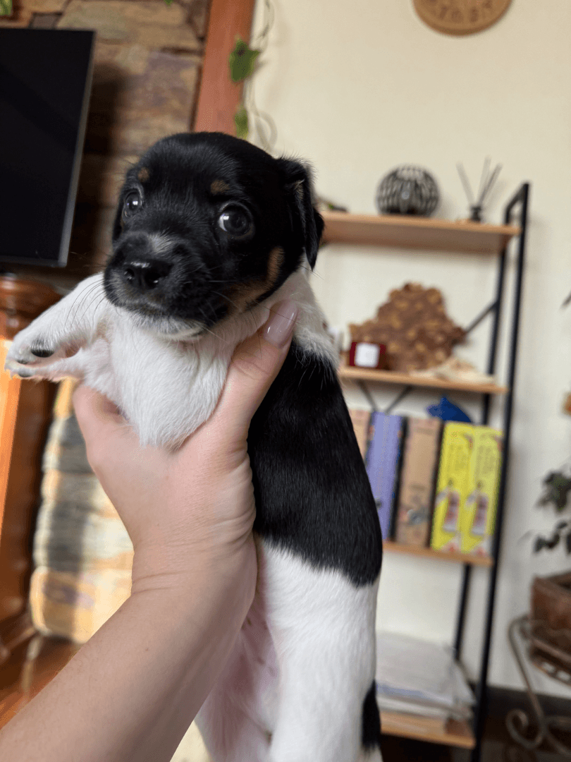 carousel-image-mobile-5