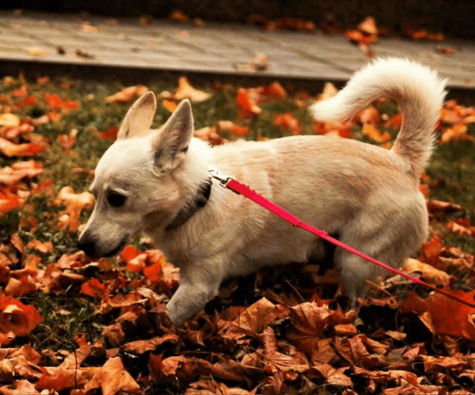 carousel-image-mobile-0