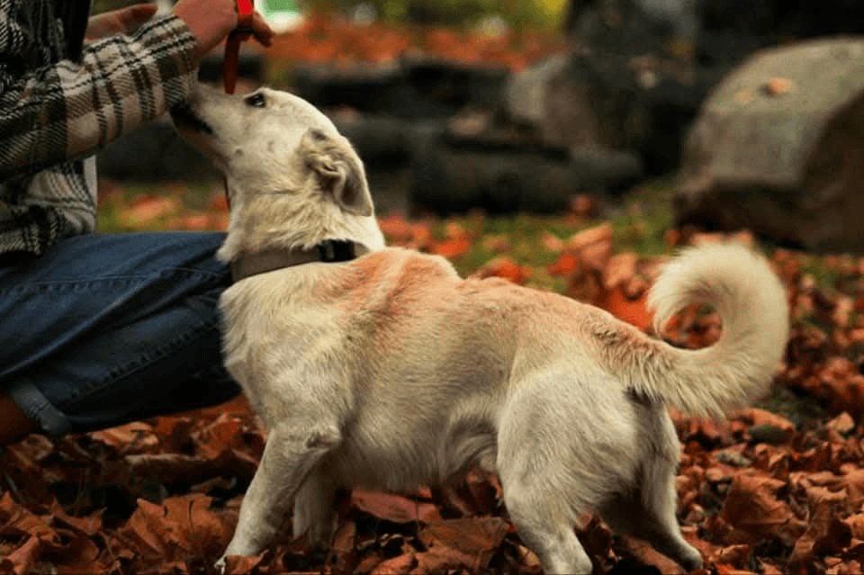 carousel-image-mobile-1