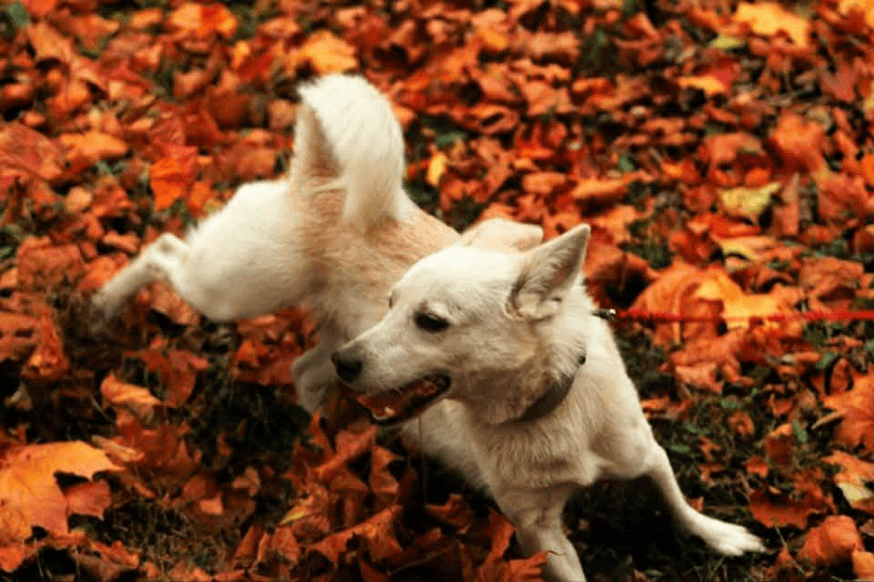 carousel-image-mobile-2