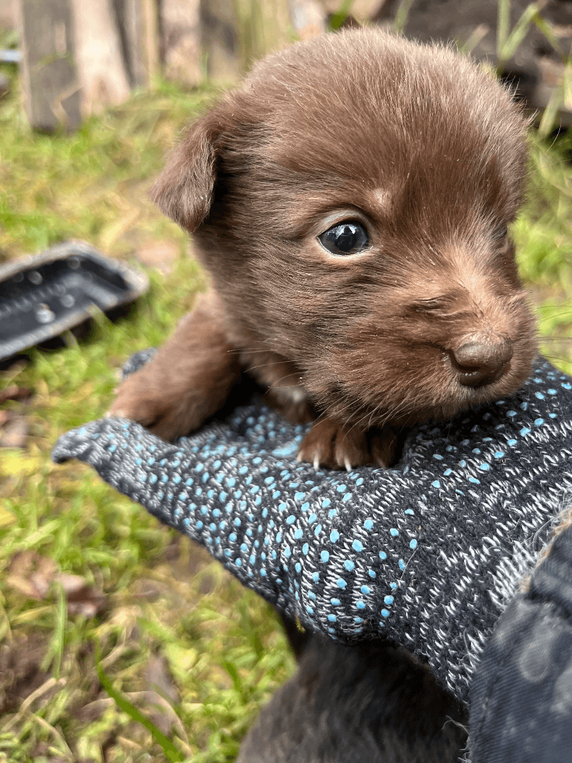 carousel-image-mobile-0