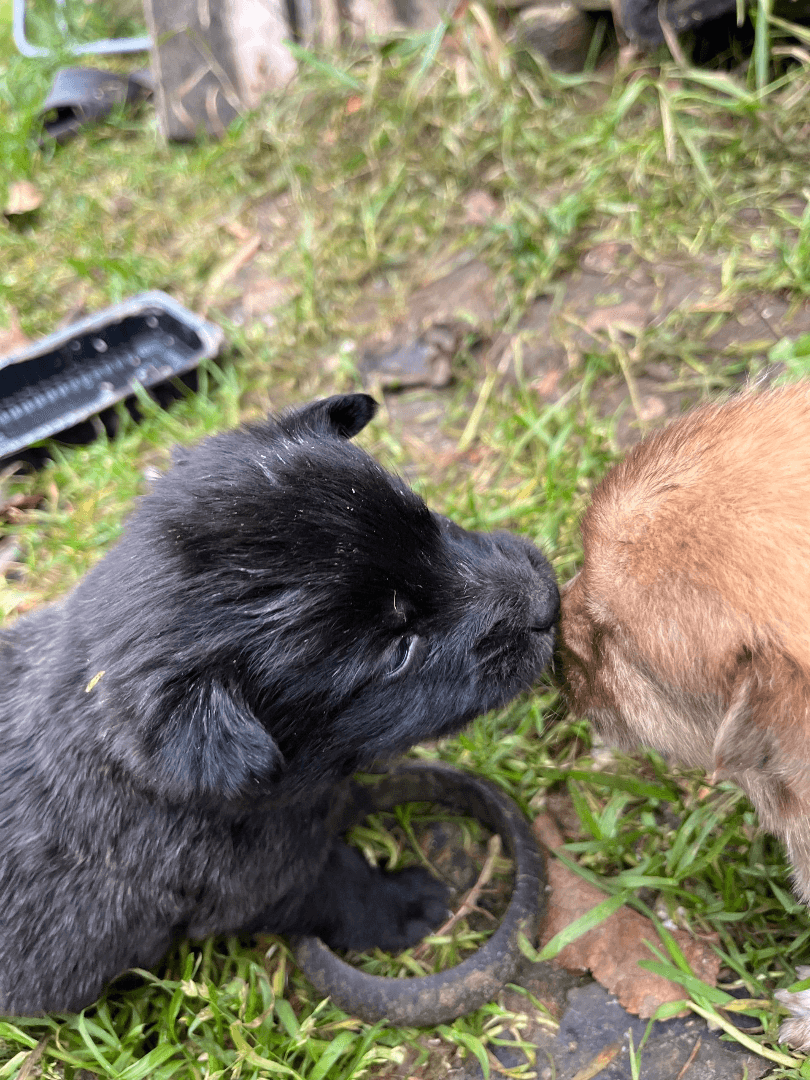 carousel-image-mobile-1