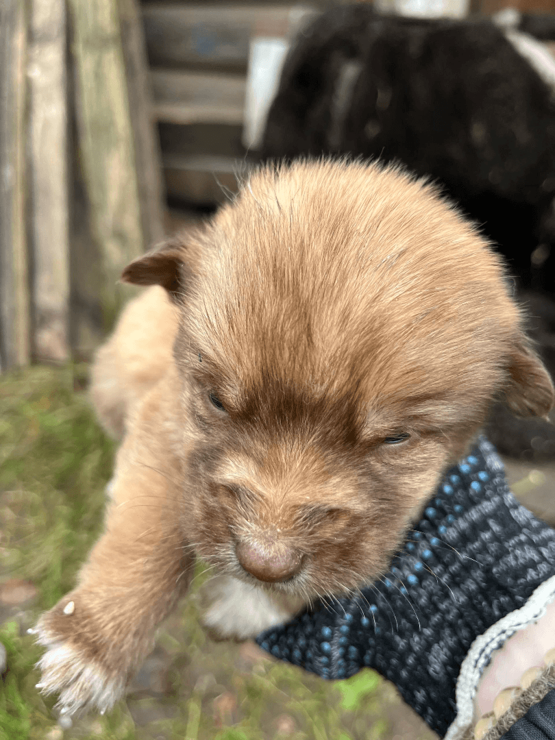 carousel-image-mobile-2