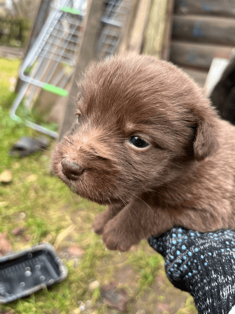 carousel-image-mobile-3