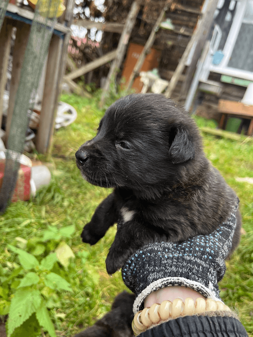 carousel-image-mobile-4