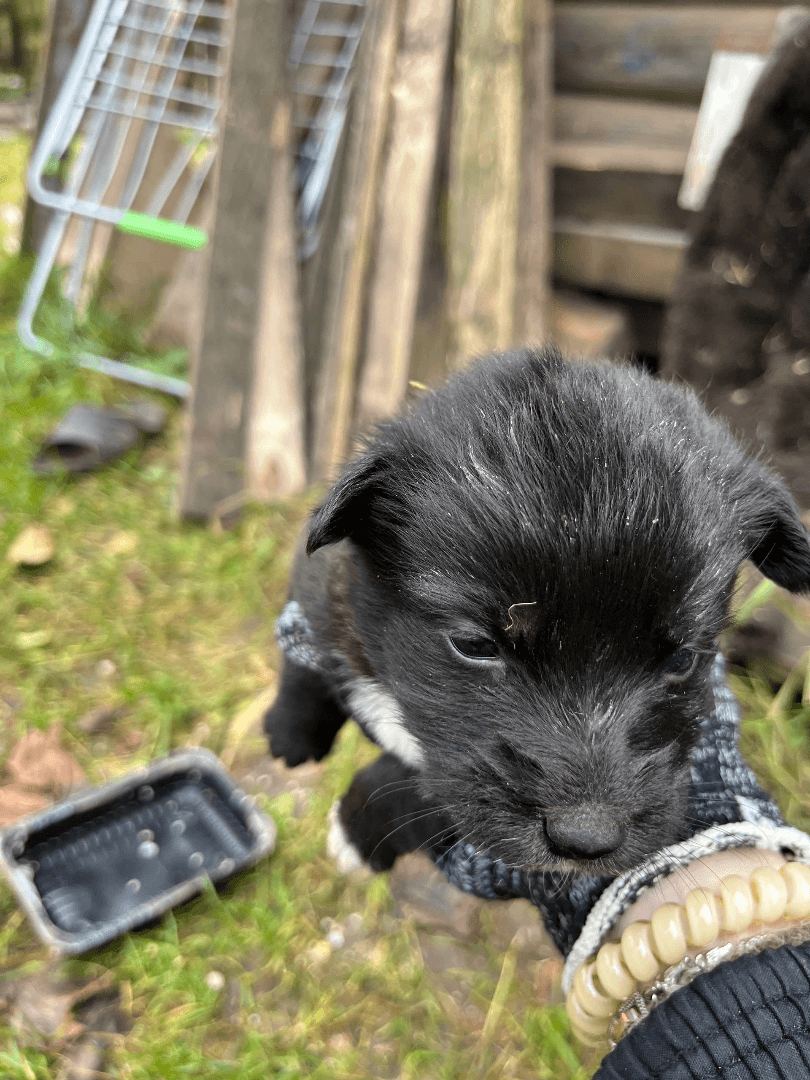 carousel-image-mobile-5