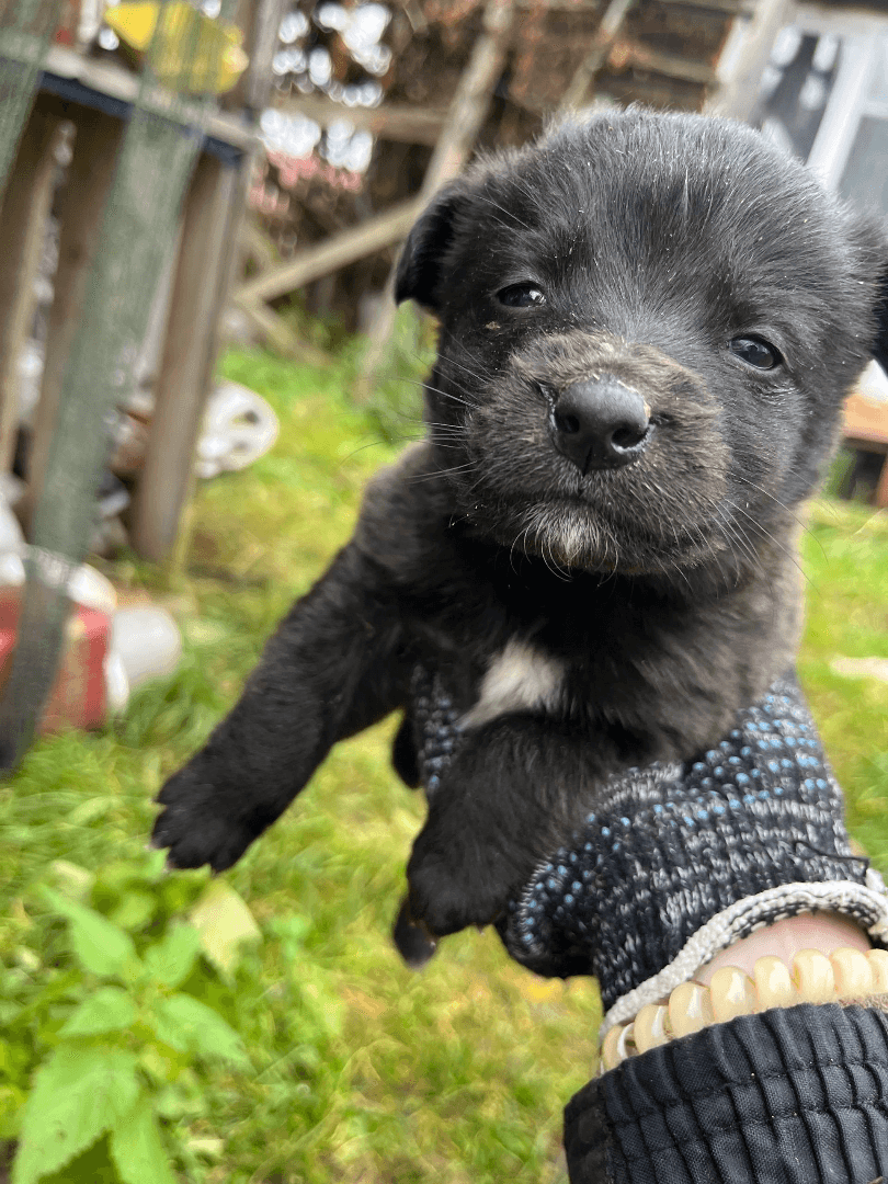 carousel-image-mobile-6