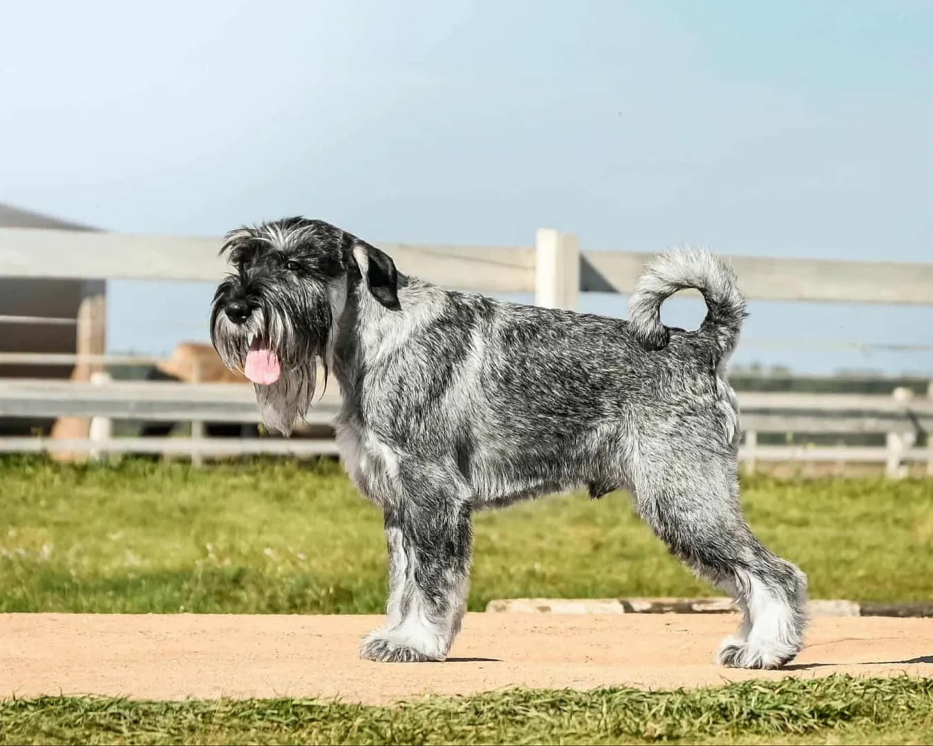 carousel-image-mobile-0