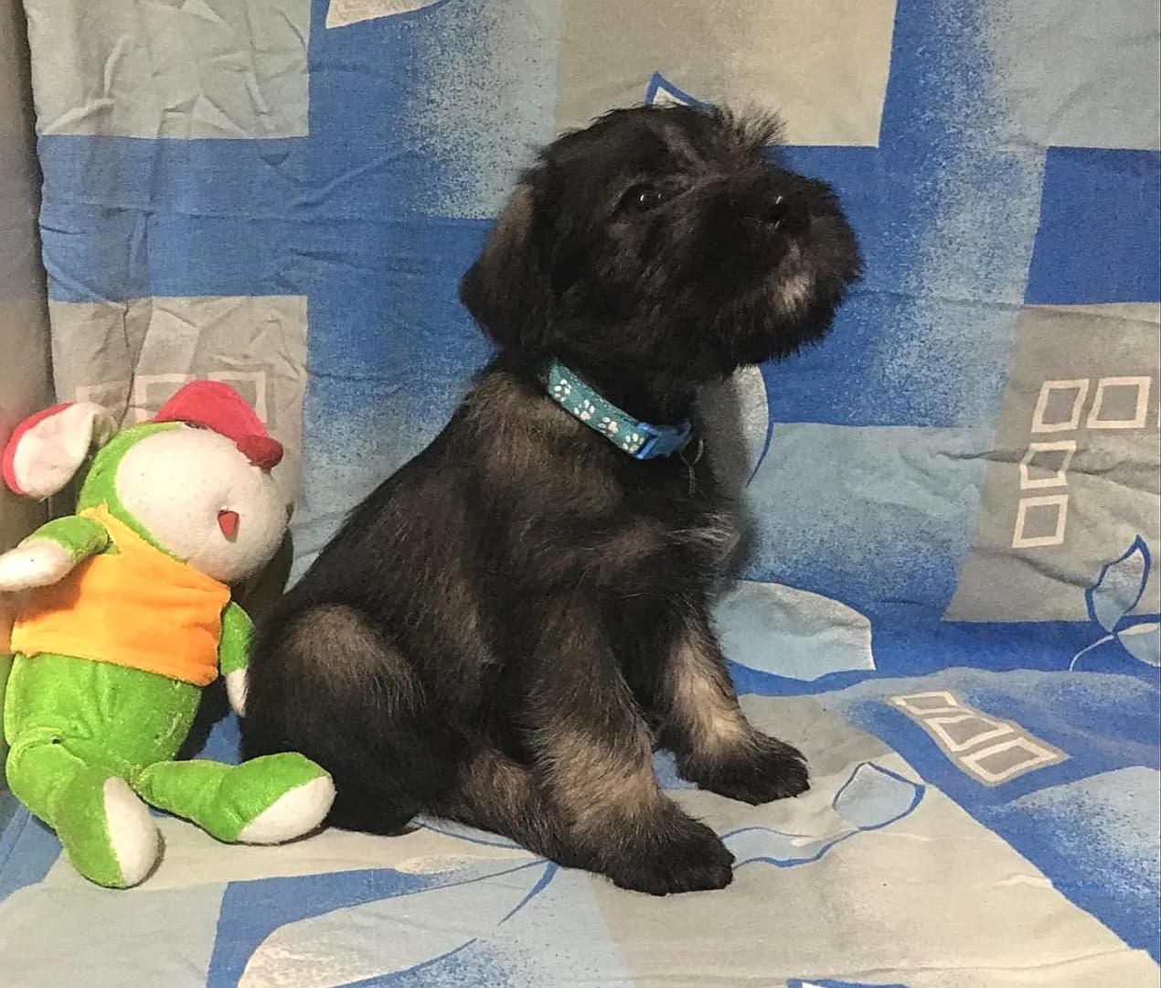 carousel-image-mobile-1