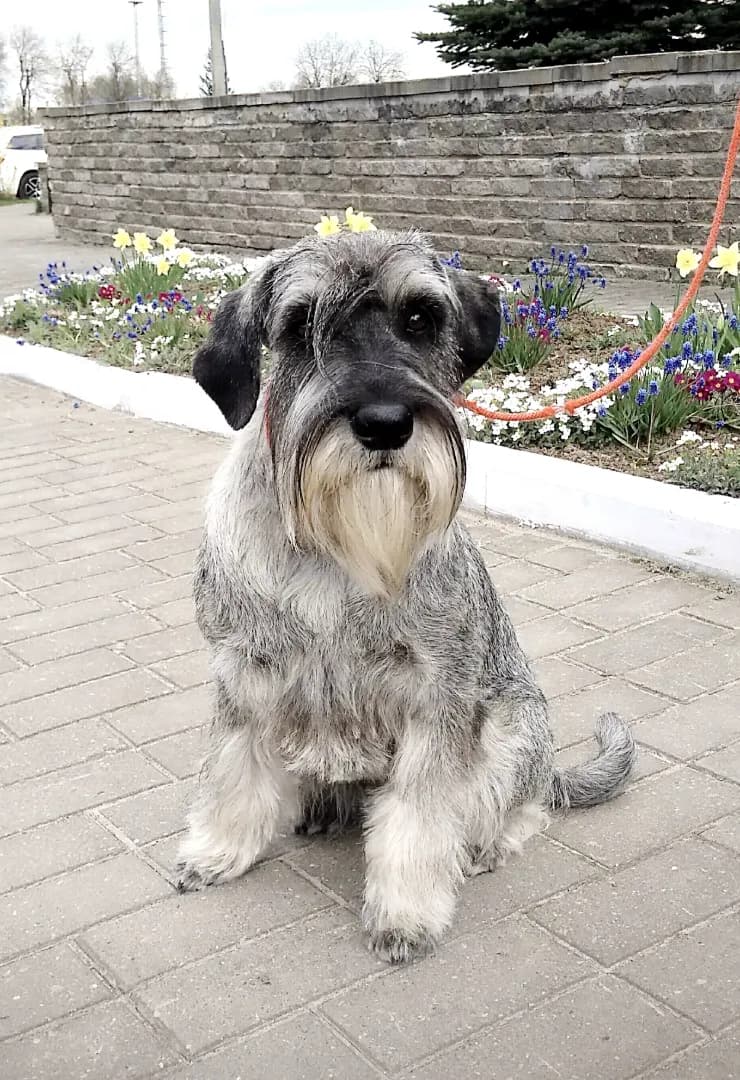 carousel-image-mobile-2