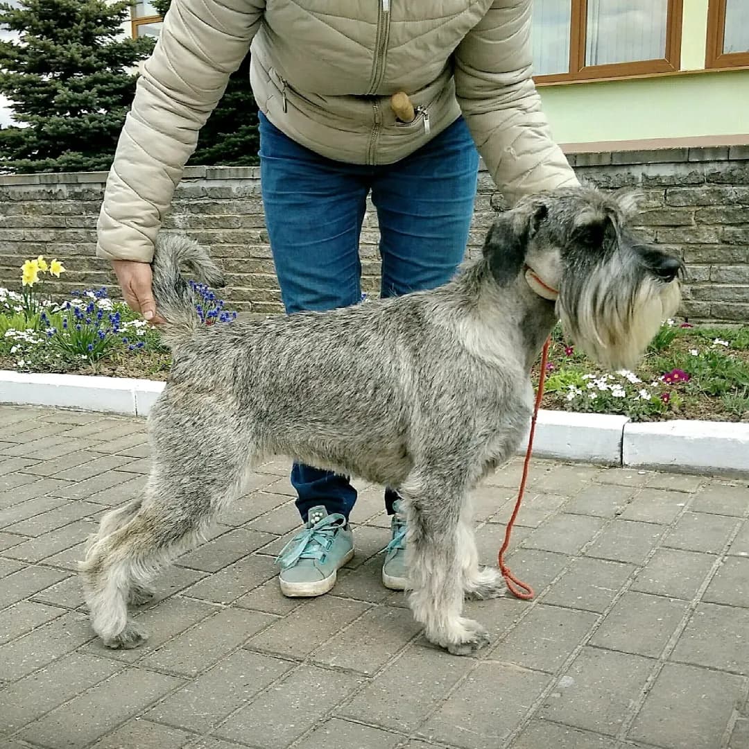 carousel-image-mobile-3