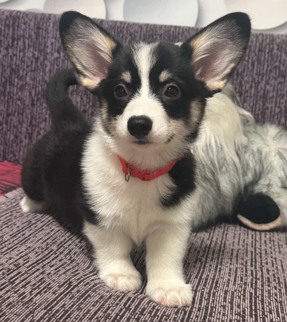 carousel-image-mobile-1