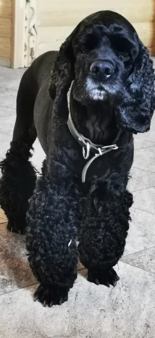 carousel-image-mobile-0