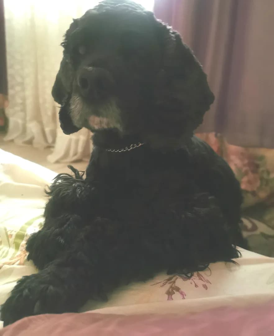 carousel-image-mobile-1