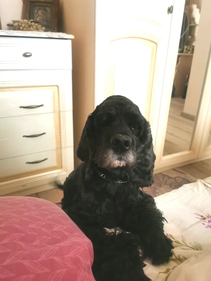 carousel-image-mobile-2