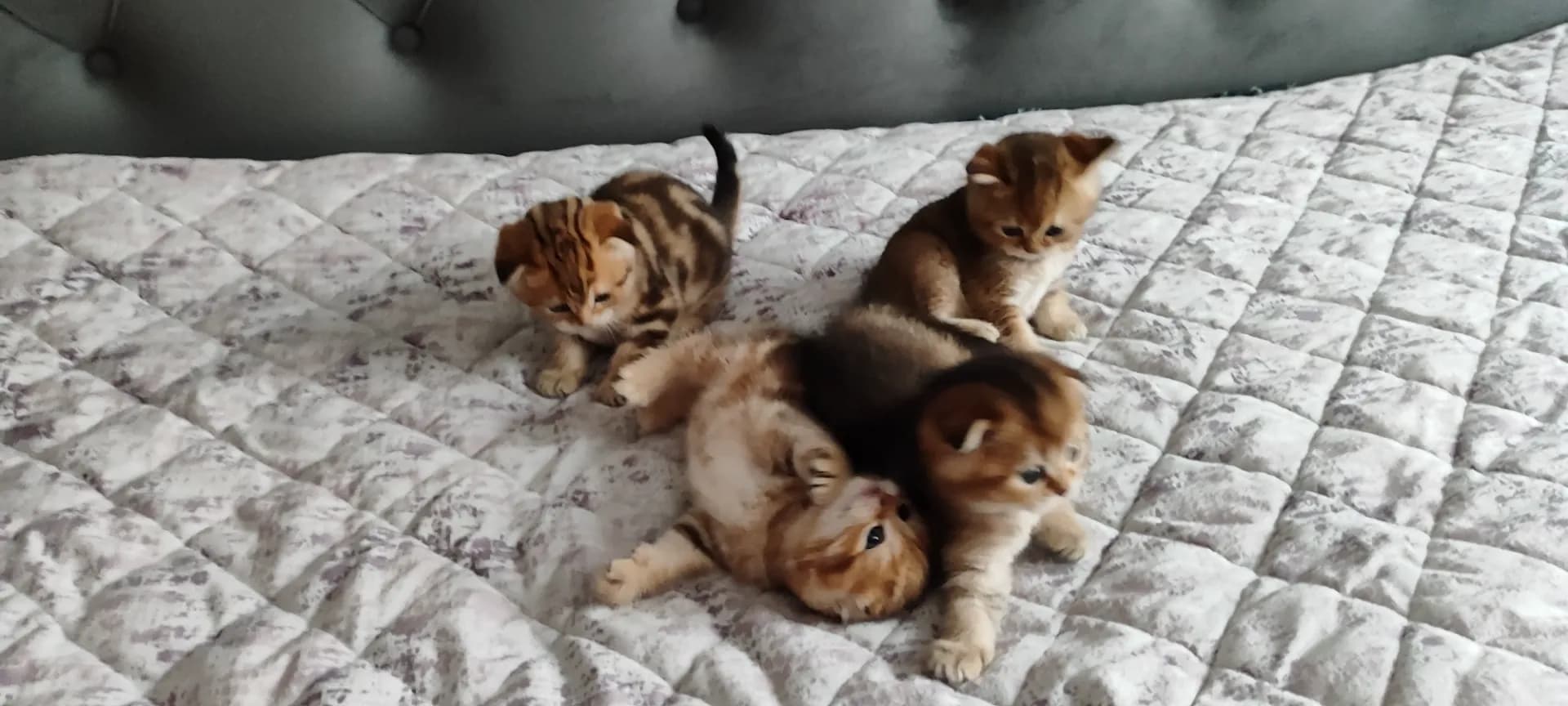 carousel-image-mobile-0