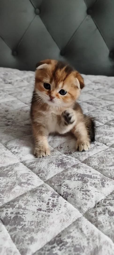 carousel-image-mobile-1