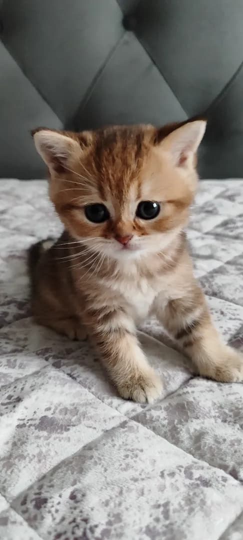 carousel-image-mobile-2