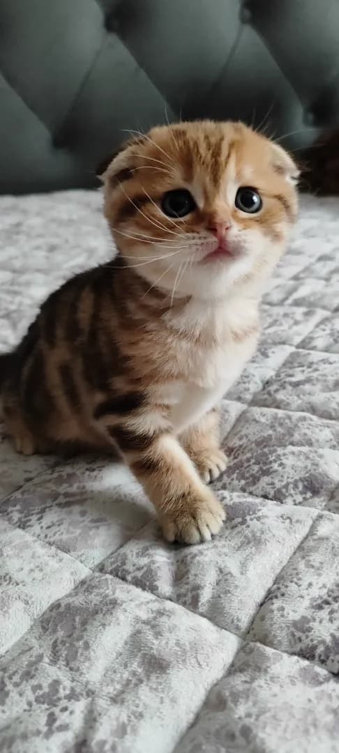 carousel-image-mobile-3