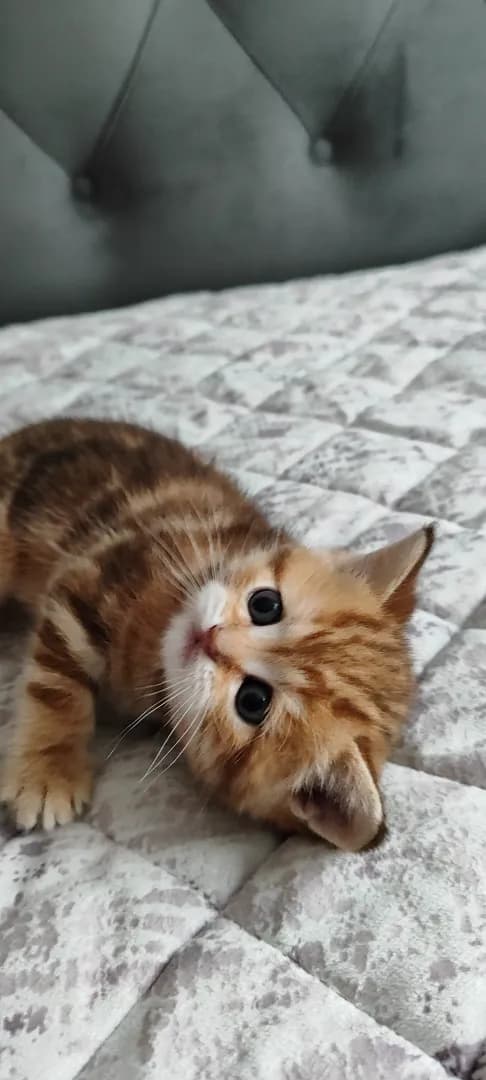 carousel-image-mobile-4