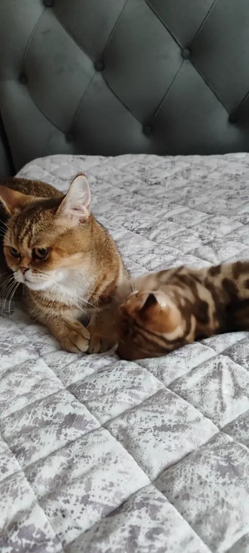 carousel-image-mobile-5