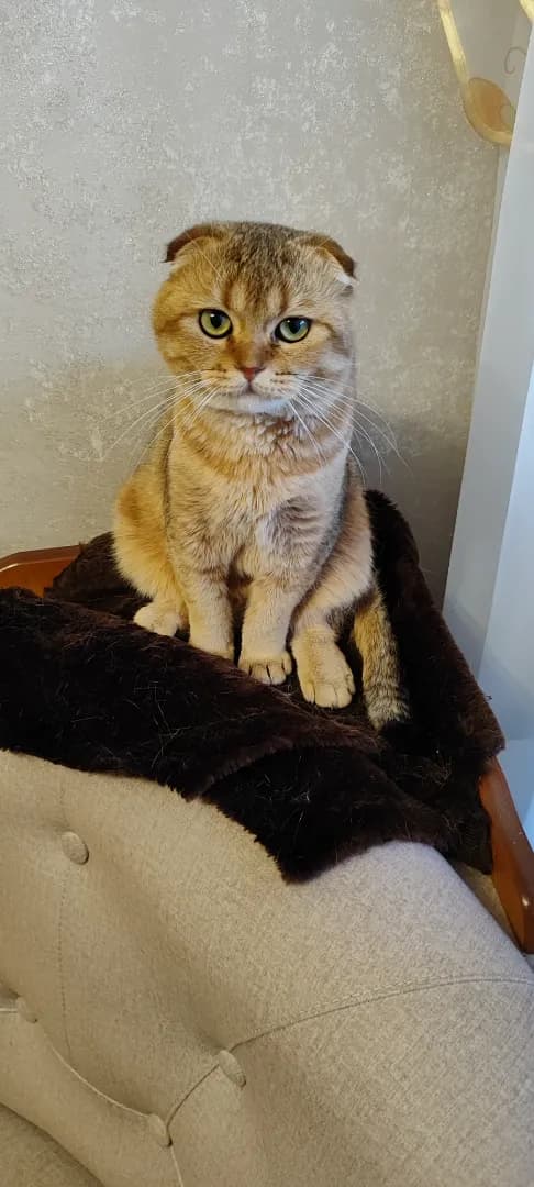 carousel-image-mobile-6