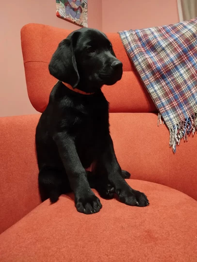 carousel-image-mobile-0