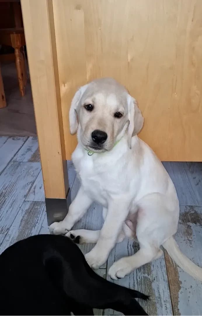 carousel-image-mobile-1