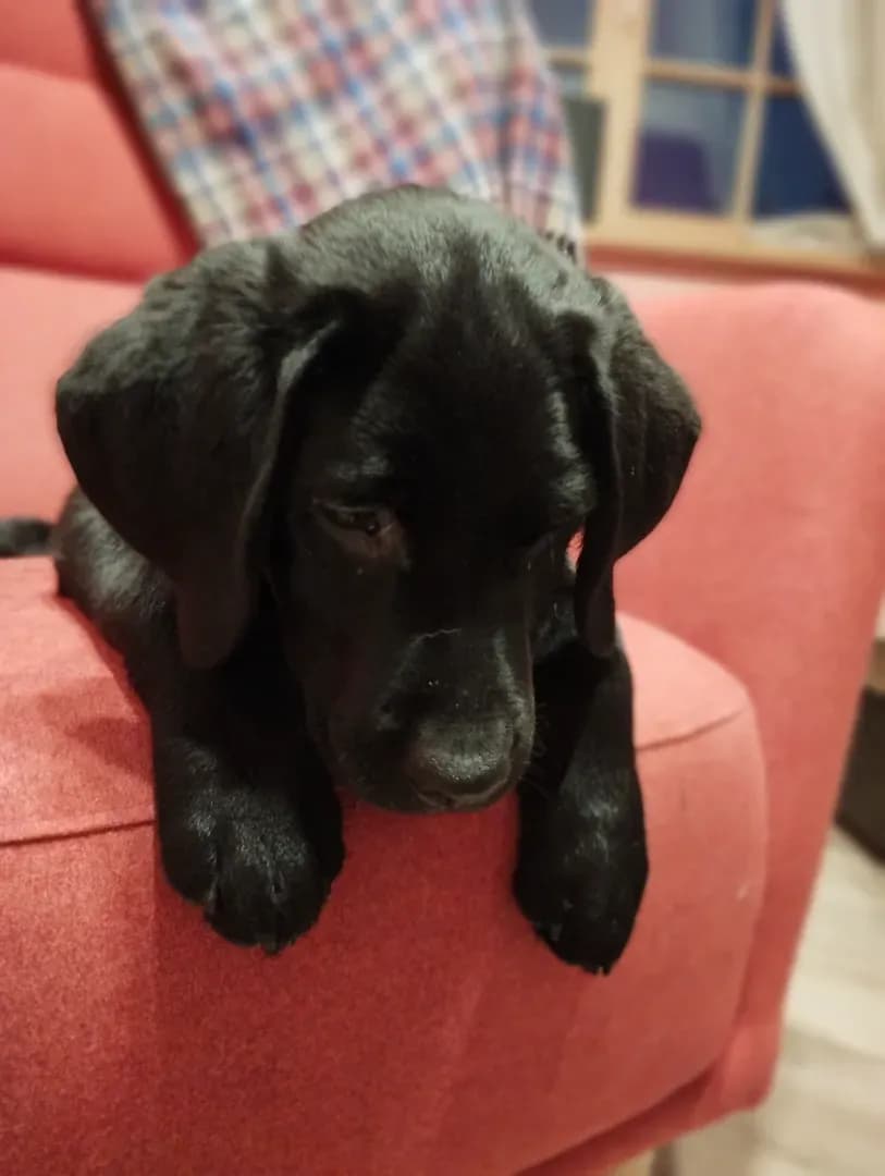 carousel-image-mobile-2