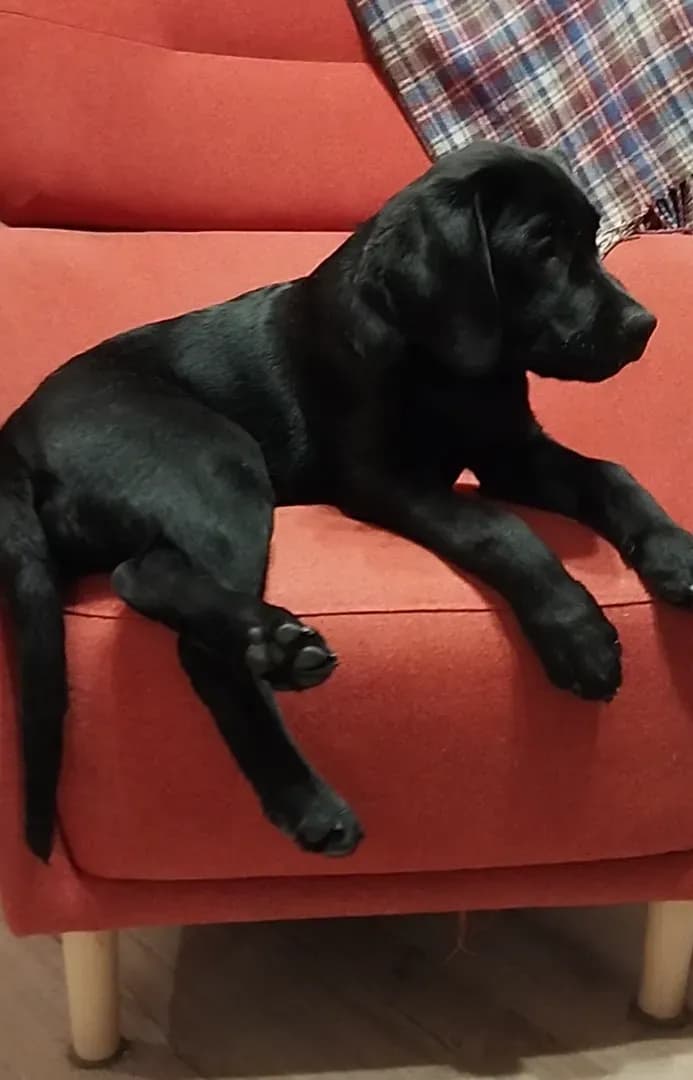 carousel-image-mobile-3