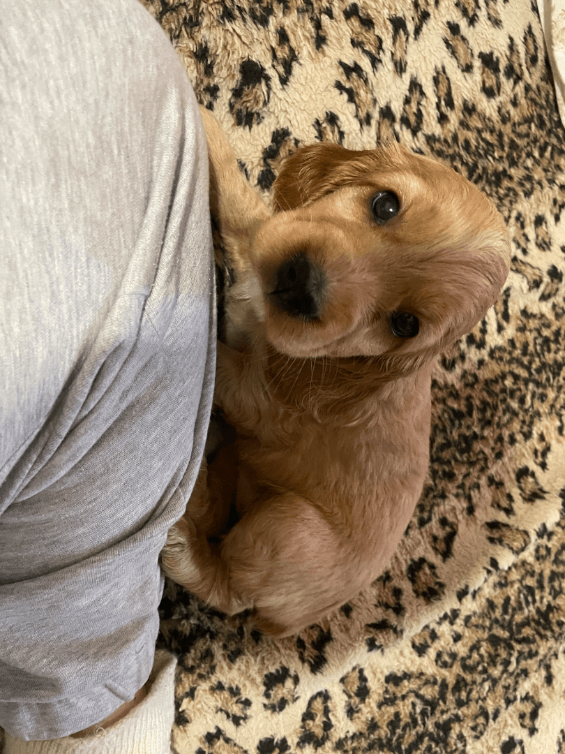 carousel-image-mobile-0