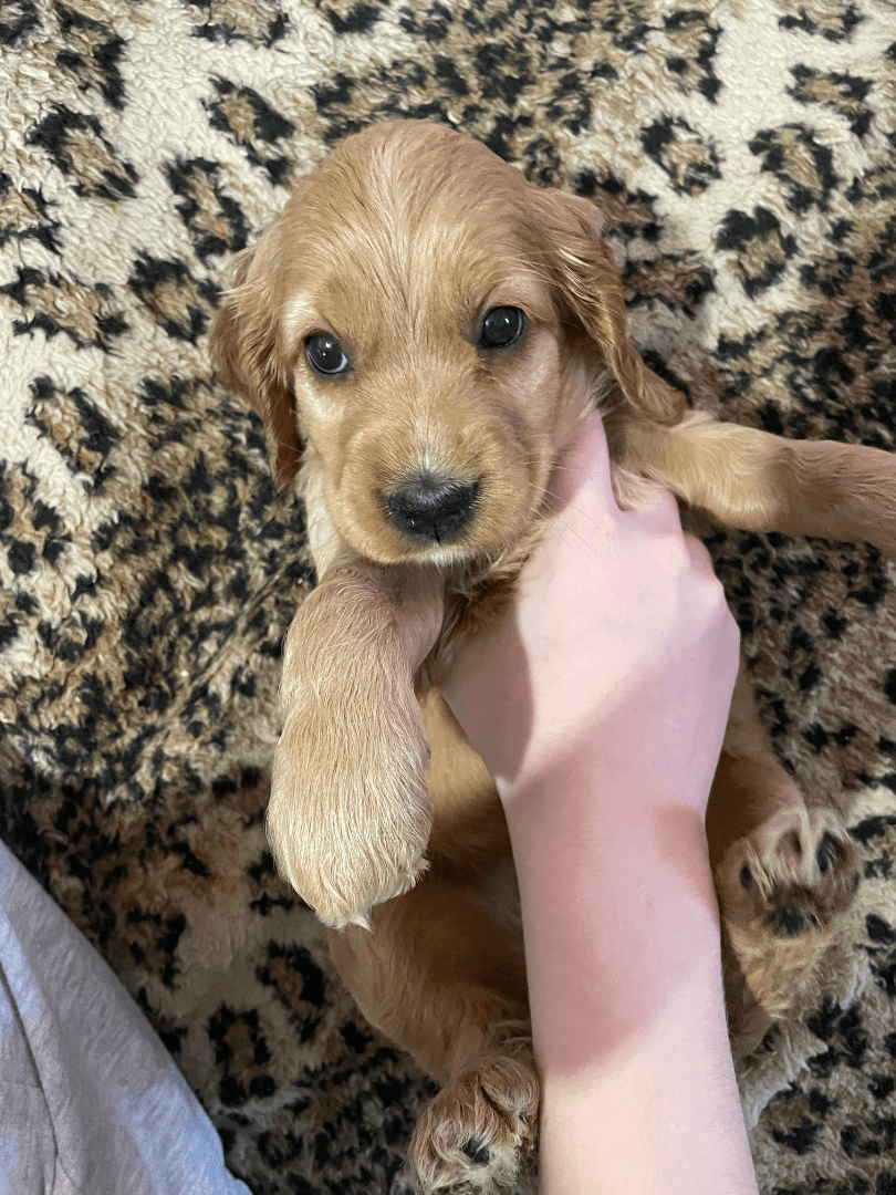 carousel-image-mobile-1