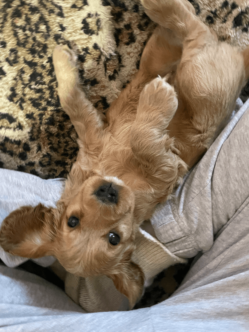 carousel-image-mobile-2