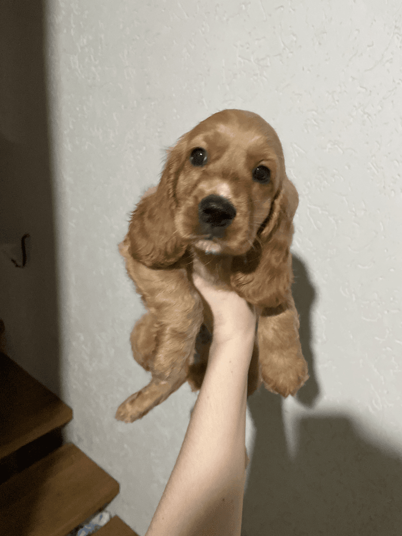 carousel-image-mobile-3