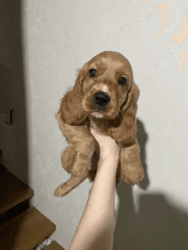 carousel-image-mobile-4