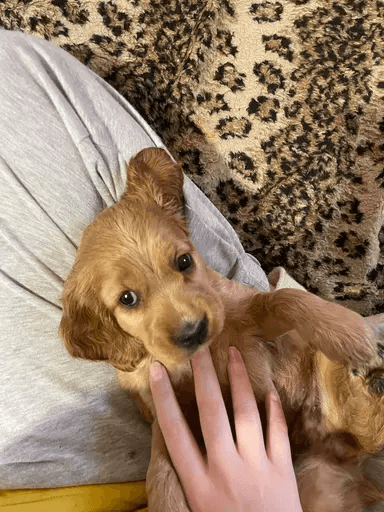 carousel-image-mobile-5