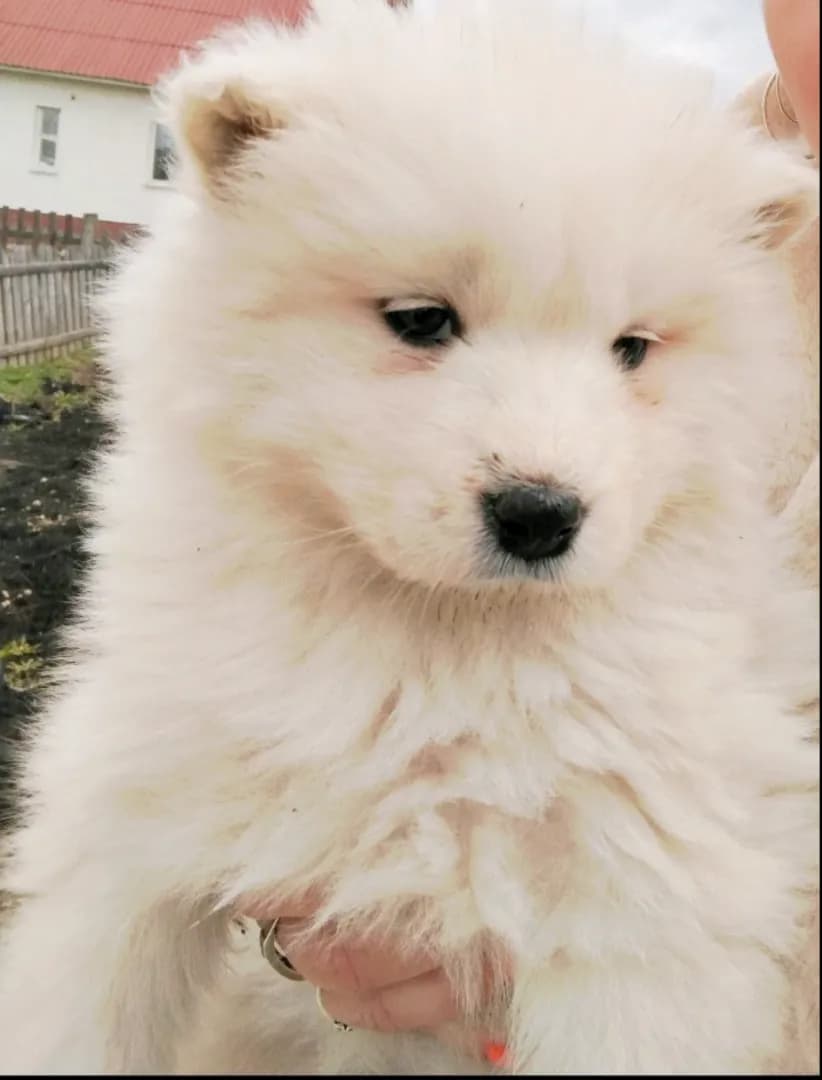 carousel-image-mobile-0