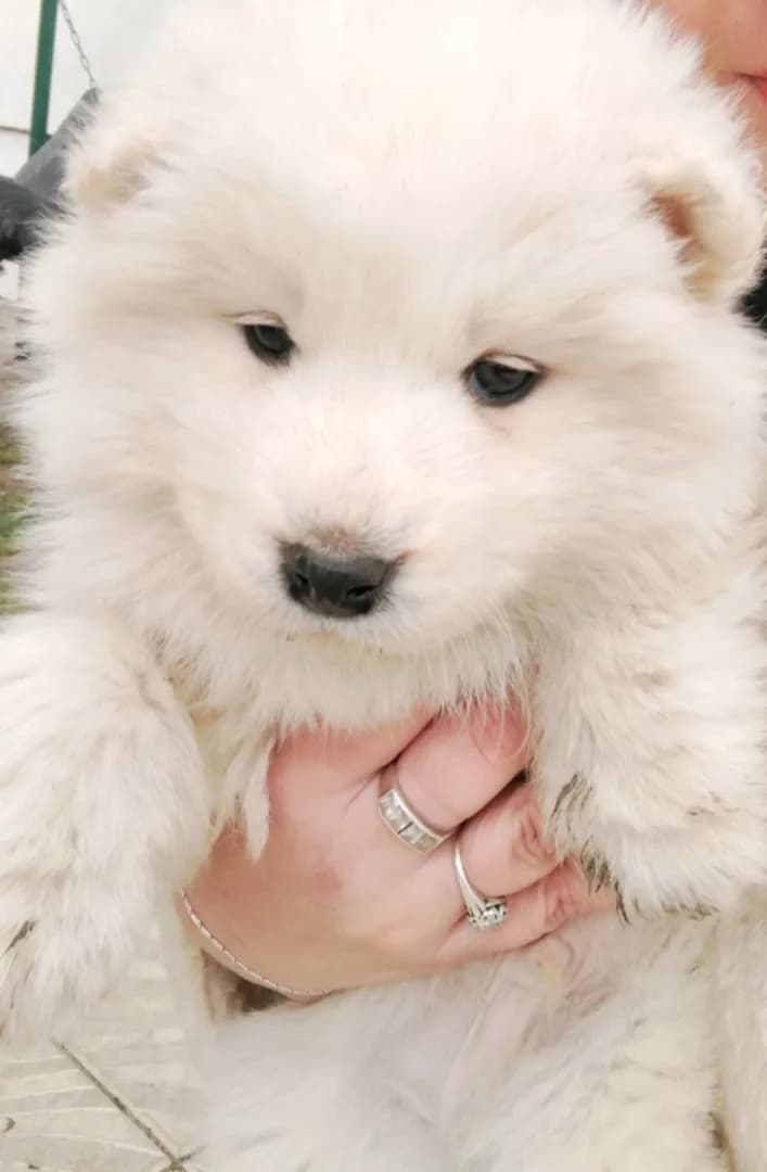 carousel-image-mobile-1