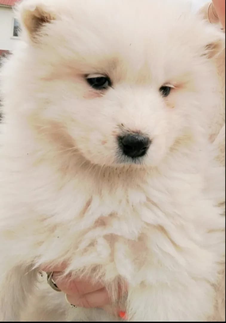 carousel-image-mobile-2