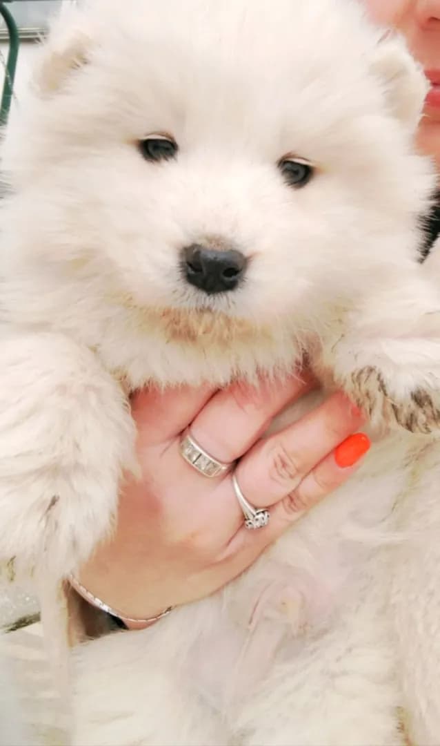 carousel-image-mobile-3