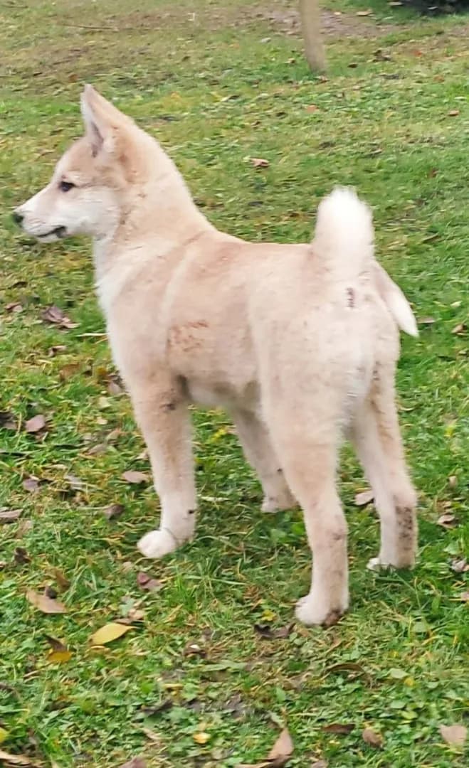 carousel-image-mobile-0